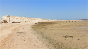 P1010579